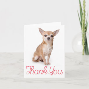 Dankeschön Chihuahua Welpe Hund Leere Karte