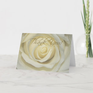 Dankeschön Cream Rose Karten