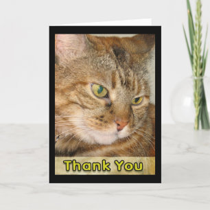 Dankeschön Dankeskarte