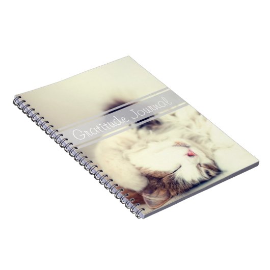 Dankeschön-Journal-Schlafkatze - benutzerdefinierb Notizblock (Rechte Seite)