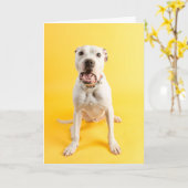 Dankeschön Karte (Gelbe Blume)