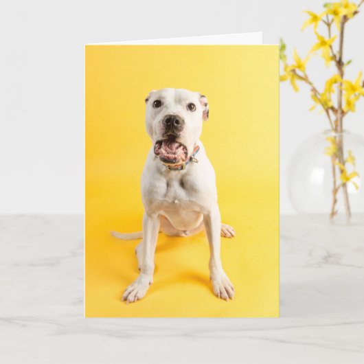  Dankeschön Karte (Gelbe Blume)