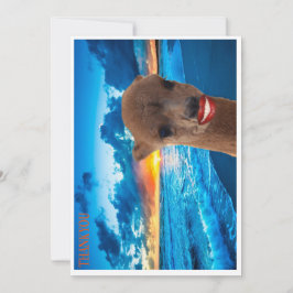 Dankeschön-Karte Dankeskarte