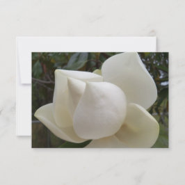 Dankeschön Karte mit weißer Magnolia-Blume