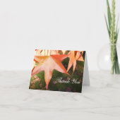 Dankeschön Karten - Herbstblätter (Vorderseite)