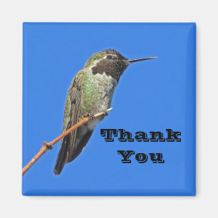 Dankeschön Kolibri-Foto Naturschätzung Magnet