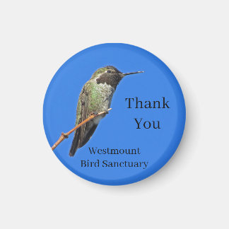 Dankeschön Kolibri Non-Profit Würdigung Magnet