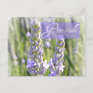 Dankeschön Lavendel florale Postkarte