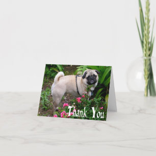 Dankeschön-Mops-Welpen-Hund-Leer-Notizkarte Dankeskarte