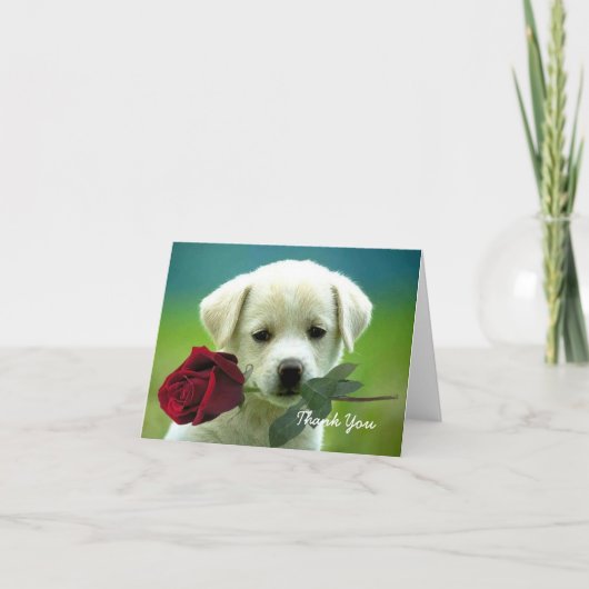 Dankeschön Note Card Dankeskarte (Vorderseite)