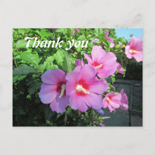 Dankeschön Pink Floral Fotografie Postkarte