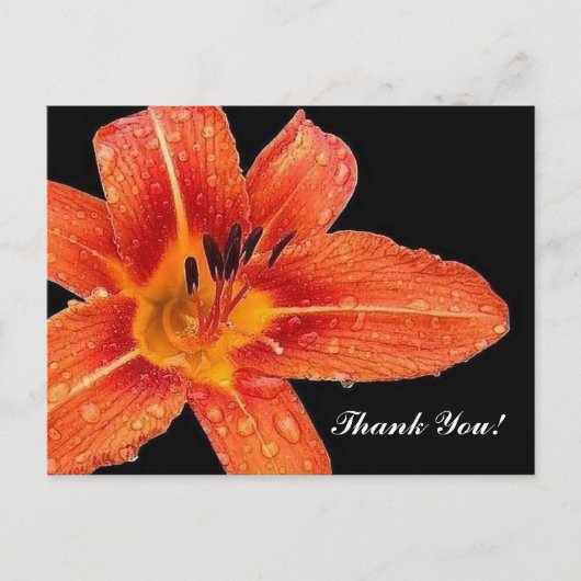 Dankeschön! Postkarte (Vorderseite)