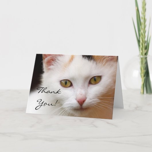 Dankeschön White Cat Grußkarte Dankeskarte (Vorderseite)