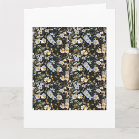 Dankesexpress: Charming Dankeschön-Karte Karte (Vorderseite)