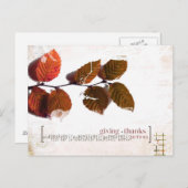 Dankeskarte Postkarte (Vorne/Hinten)