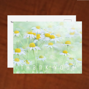 Dankeskarten. Feld mit Gänseblümchen. Postkarte