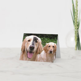 Dankeskarten für Golden Retriever Peter Fox und Ma Dankeskarte
