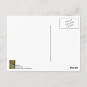 Dankeskarten für Hodgson Spring Flow Postkarte (Rückseite)