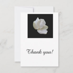 Dankeskarten, leer, mit weißer Magnolienblüte Dankeskarte