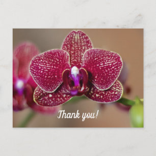 Dankeskarten mit einer schönen roten Orchidee Postkarte