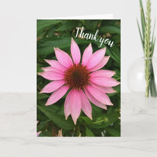 Dankeskarten mit hellvioletter Scheibenblume Dankeskarte (Vorderseite)