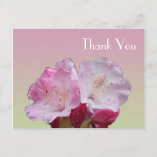 Dankeskarten, rosa Rhododendronblüten Postkarte