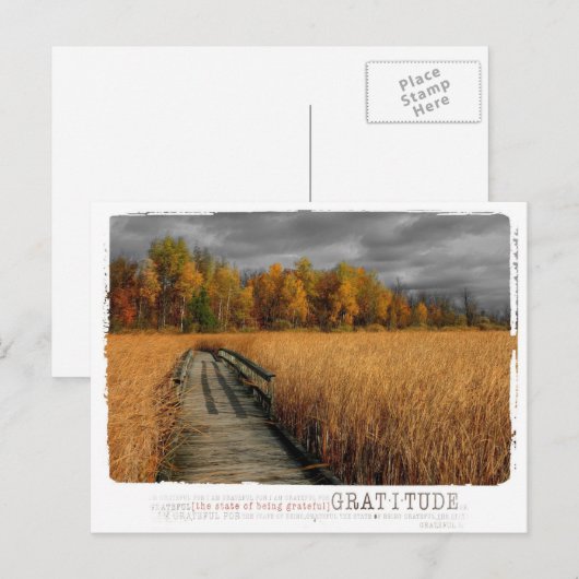 Dankopfotografie im Herbst Postkarte (Vorne/Hinten)