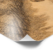 Dann ging Tabby weit und weit weg Fotodruck (Ecke)