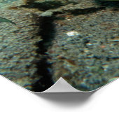 Danni das Meerjungfrau-Poster Poster (Ecke)