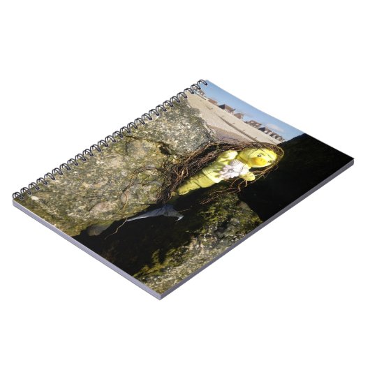 Danni das Mermaid-Notebook Notizblock (Linke Seite)