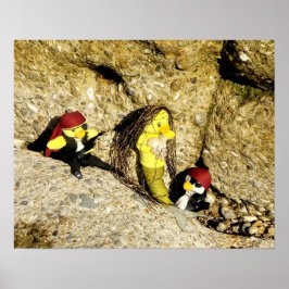 Danni, die Meerjungfrau und das Piraten-Poster Poster