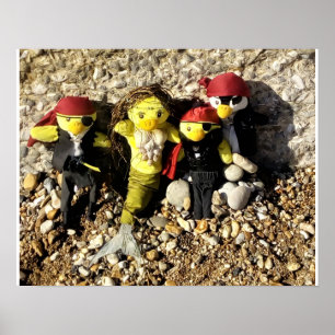 Danni die Meerjungfrau und das Pirates Poster