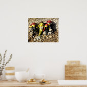 Danni die Meerjungfrau und das Pirates Poster (Küche)