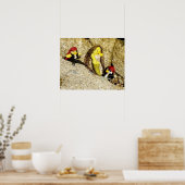 Danni die Meerjungfrau und das Pirates Poster (Küche)