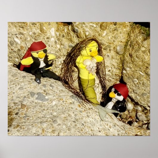 Danni die Meerjungfrau und das Pirates Poster (Vorne)