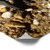 Danni die Meerjungfrau und das Pirates Poster (Ecke)