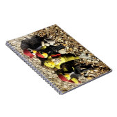 Danni die Meerjungfrau und Piraten Notizblock (Rechte Seite)