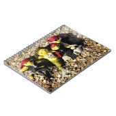 Danni die Meerjungfrau und Piraten Notizblock (Linke Seite)