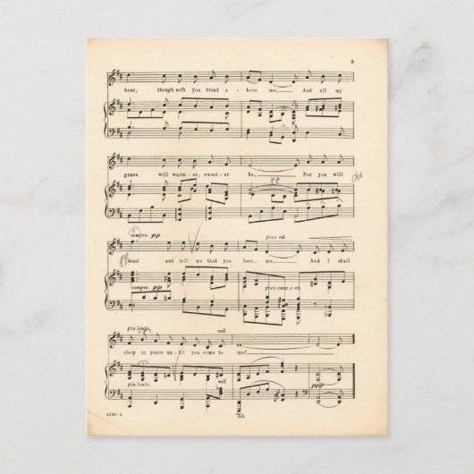 Danny Boy 4 Postkarte (Vorderseite)