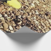 Danny Duck, das Pirate Wrapping Paper Geschenkpapier (Ecke)