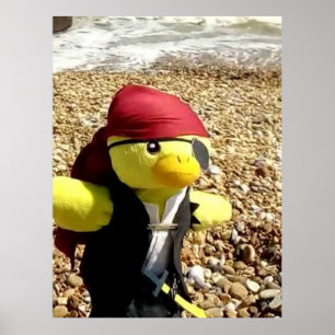 Danny Duck der Pirat Poster