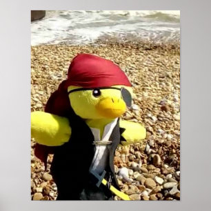 Danny Duck der Pirat Poster