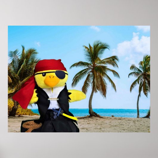 Danny Duck der Pirat. Poster (Vorne)
