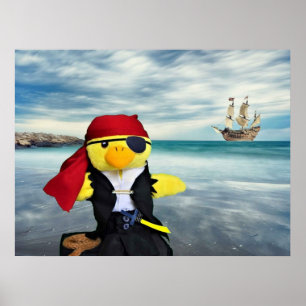 Danny Duck der Pirat. Poster