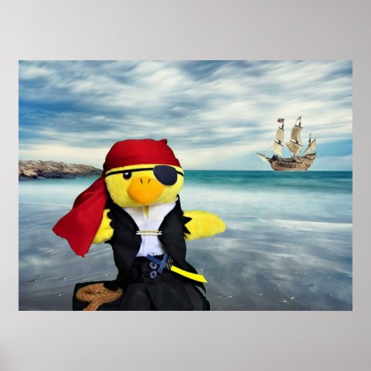 Danny Duck der Pirat. Poster (Vorne)
