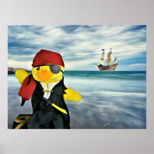 Danny Duck der Pirat. Poster (Vorne)