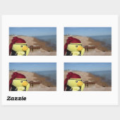 Danny Duck, der rechteckige Aufkleber für Piraten (Blatt)