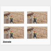 Danny Duck, der rechteckige Aufkleber für Piraten (Blatt)