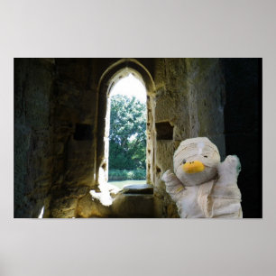 Danny Duck die Mumie Poster