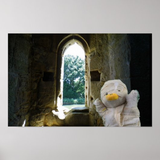 Danny Duck die Mumie Poster (Vorne)